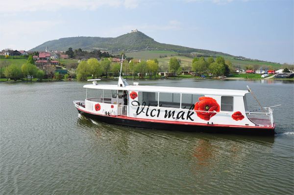 Vlčí mák a Pampeliška (2)